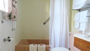 Suite Bathroom Ironwood