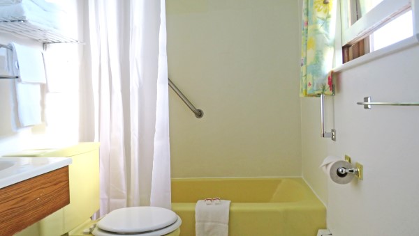 Suite Bathroom 2 Ironwood